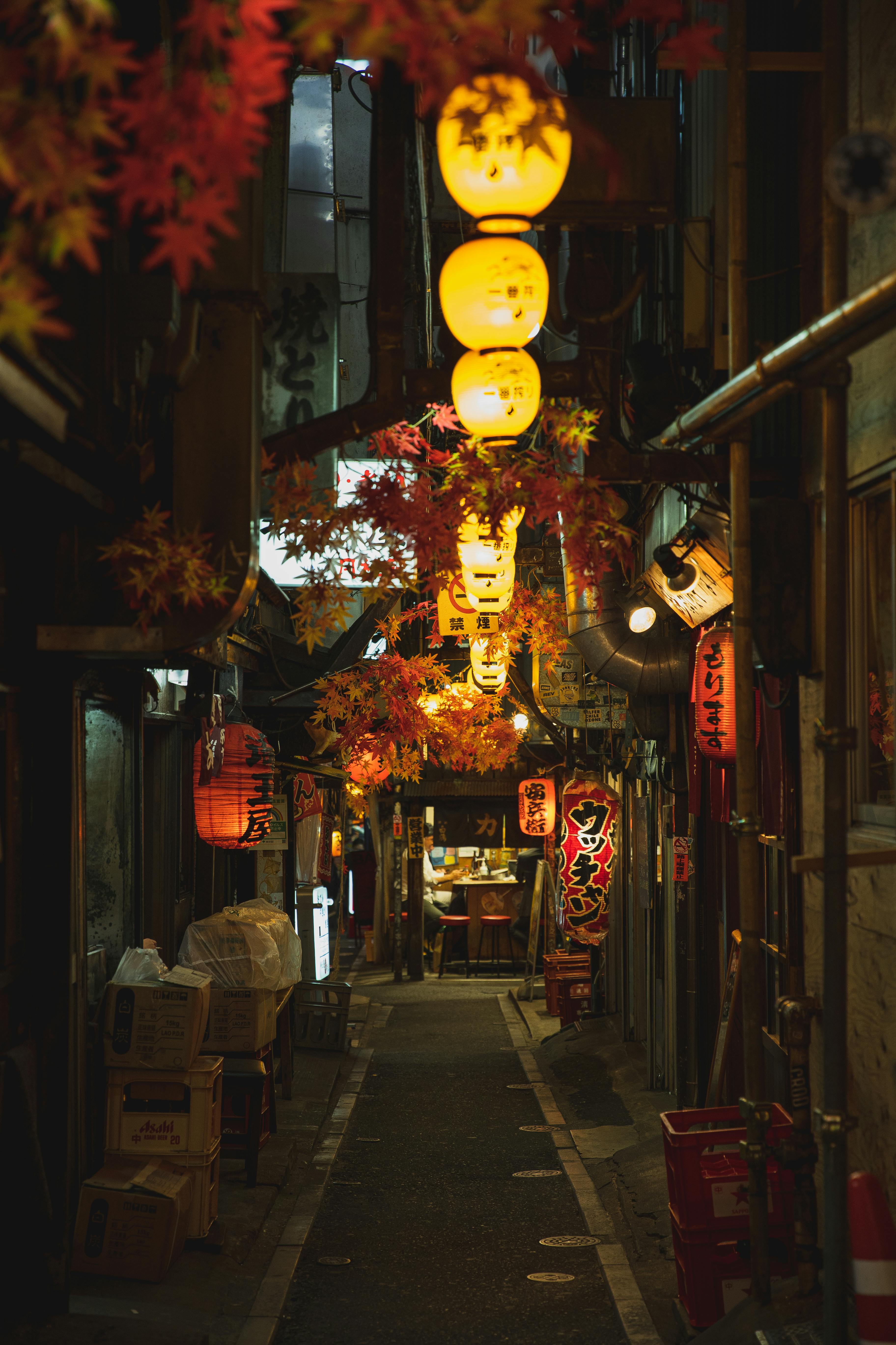 Japan Scene 1